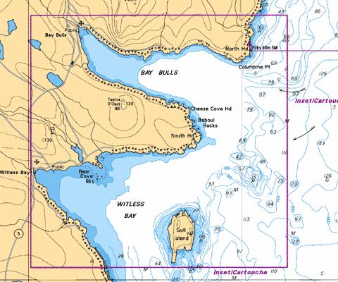 BAY FULLS AND/ET WITLESS BAY Marine Chart - Nautical Charts App