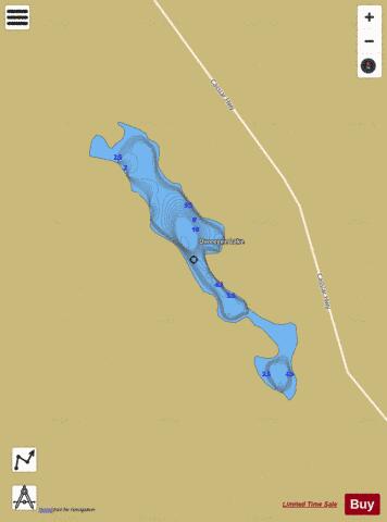 Oweegee Lake depth contour Map - i-Boating App