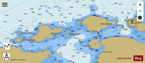 Entrances to / Entr\xE9es \xE0 Fogo Harbour Marine Chart - Nautical Charts App