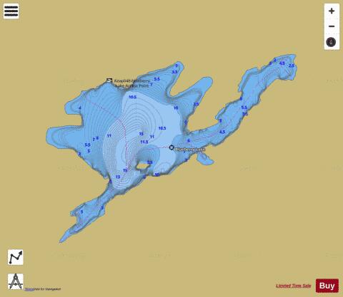 Blueberry Lake depth contour Map - i-Boating App