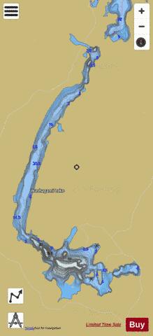 Washagami Lake depth contour Map - i-Boating App