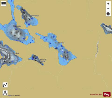 Billots  Lac Aux depth contour Map - i-Boating App