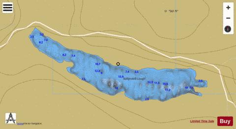 Ballynakill Lough depth contour Map - i-Boating App