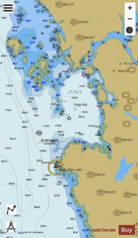 FOGGY BAY Marine Chart - Nautical Charts App