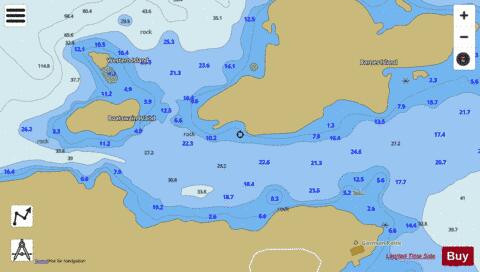 WESTERN ENTRANCE TO / ENTRÉE OUEST À FOGO HARBOUR Marine Chart - Nautical Charts App