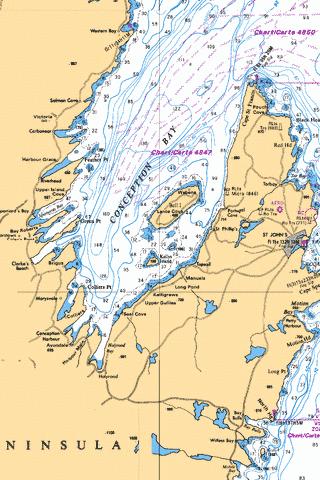 CONCEPTION BAY Marine Chart - Nautical Charts App