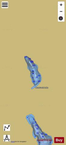 Beartrack Lake depth contour Map - i-Boating App
