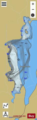 Brewster Lake depth contour Map - i-Boating App