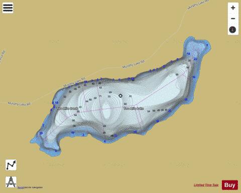Two Mile Lake depth contour Map - i-Boating App