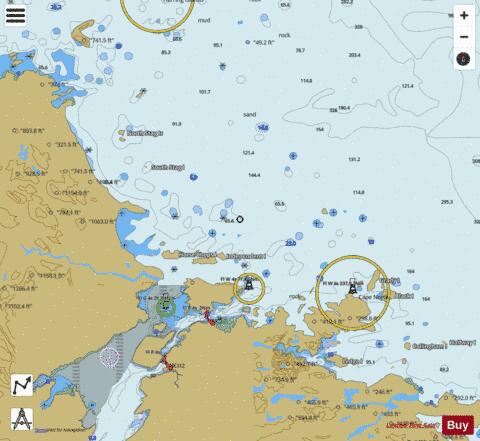 Approaches to Cartwright, Black Island to Tumbledown Dick Island Marine Chart - Nautical Charts App