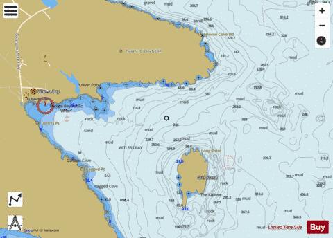 Bay Bulls and/et Witless Bay Marine Chart - Nautical Charts App