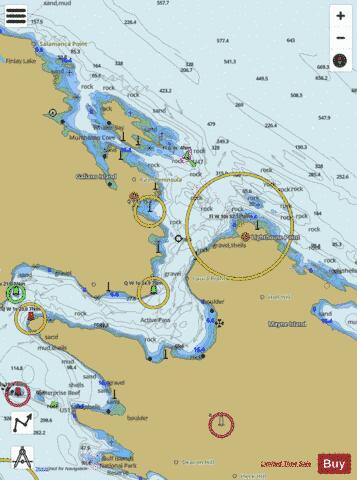 Active Pass Marine Chart - Nautical Charts App