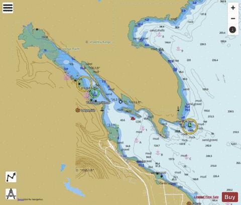 Ladysmith Harbour Marine Chart - Nautical Charts App