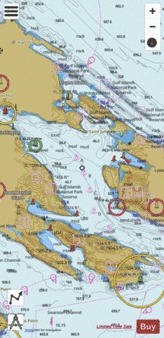 Bedwell Harbour to\a Georgeson Passage Marine Chart - Nautical Charts App