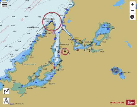BAMFIELD INLET Marine Chart - Nautical Charts App