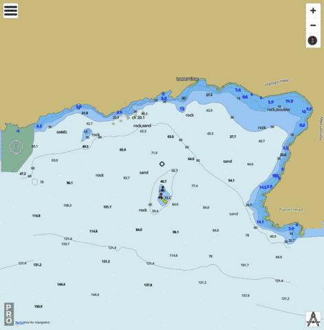 Lower Cove Marine Chart - Nautical Charts App