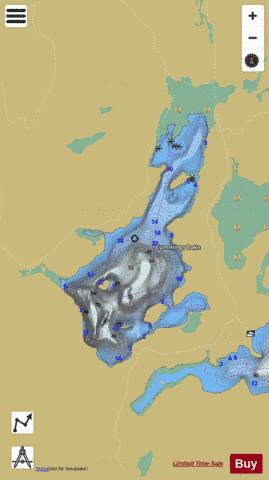 Cummings Lake depth contour Map - i-Boating App