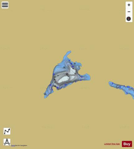 Roney Lake depth contour Map - i-Boating App
