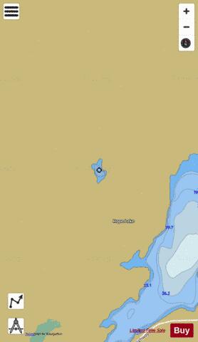 Randall Lake depth contour Map - i-Boating App