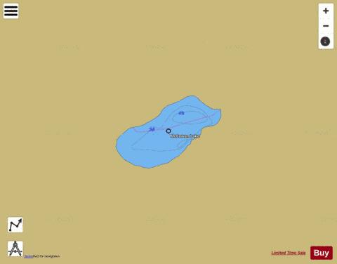 McCowan Lake depth contour Map - i-Boating App