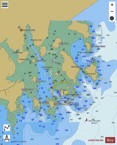 CAPE PORPOISE HARBOR Marine Chart - Nautical Charts App