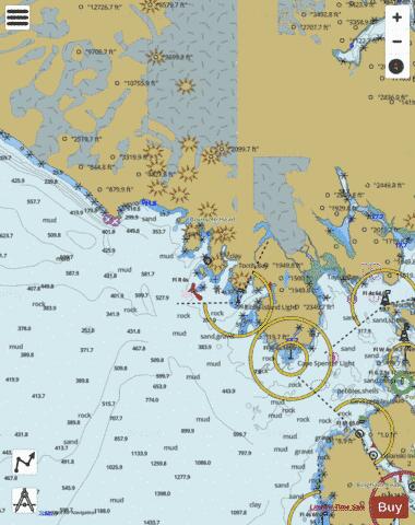 CAPE SPENCER TO ICY POINT Marine Chart - Nautical Charts App