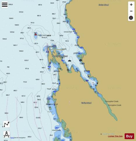 STEAMER BAY Marine Chart - Nautical Charts App