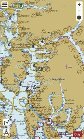 WESTERN PART OF BEHM CANAL Marine Chart - Nautical Charts App