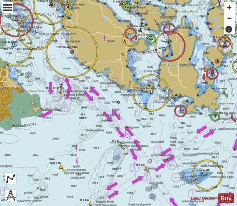 BELLINGHAM TO EVERETT INC SAN JUAN ISLAND  SAN JUAN IS Marine Chart - Nautical Charts App