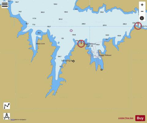 SALT SPRING BAY Marine Chart - Nautical Charts App