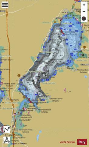 Mullett Lake depth contour Map - i-Boating App