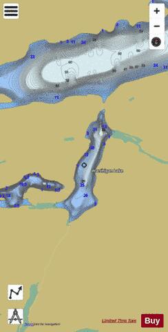 Wanihigan Lake depth contour Map - i-Boating App