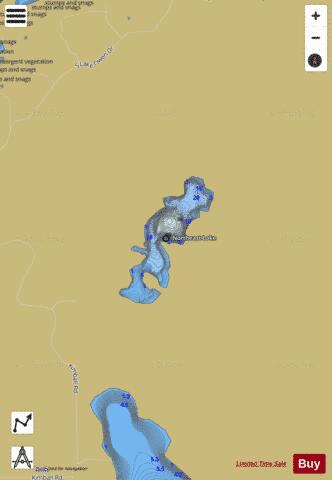 Northeast Lake depth contour Map - i-Boating App
