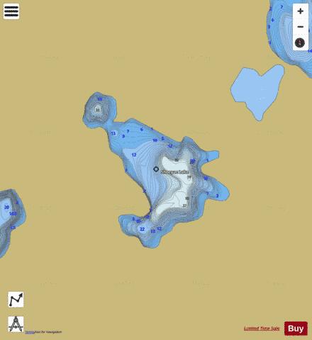 Shoepac Lake depth contour Map - i-Boating App
