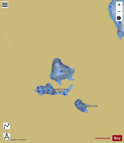 Alligator Pond depth contour Map - i-Boating App