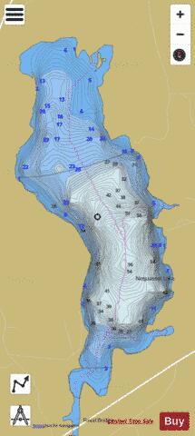Nequasset Lake depth contour Map - i-Boating App