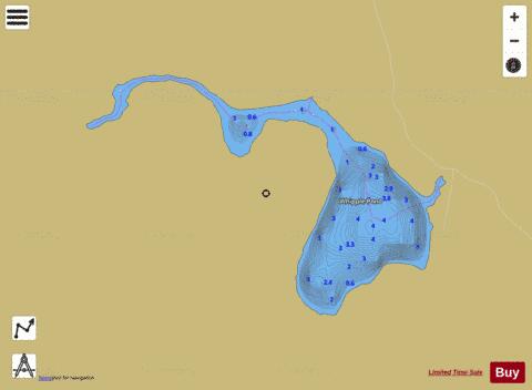 Whipple Pond depth contour Map - i-Boating App