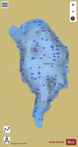 Abrams Pond depth contour Map - i-Boating App