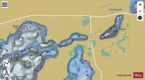 Cedar(N.E. Arm) depth contour Map - i-Boating App