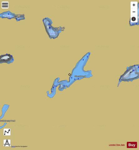 Dismal Pond depth contour Map - i-Boating App
