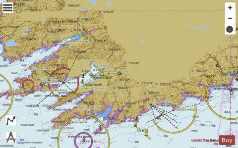Ireland - Loughs in Cork Marine Chart - Nautical Charts App