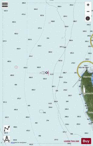 Australia - Western Australia - Cape Inscription Marine Chart - Nautical Charts App - Satellite