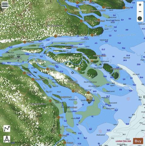Papua New Guinea - South Coast - Fly River Delta Marine Chart - Nautical Charts App - Satellite