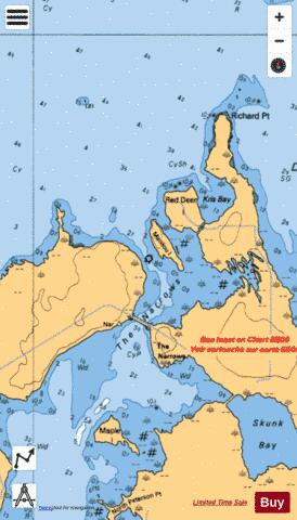 THE NARROWS Marine Chart - Nautical Charts App - Satellite