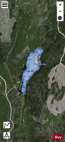 Allendale Lake depth contour Map - i-Boating App - Satellite
