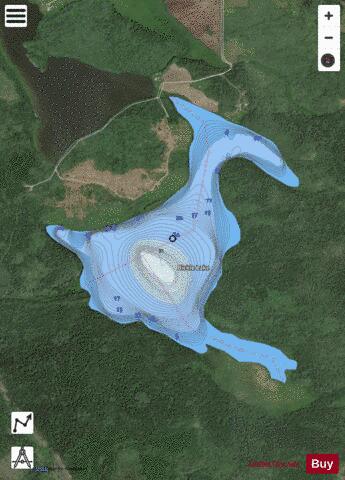 Bickle Lake depth contour Map - i-Boating App - Satellite