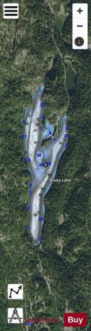 Bluey Lake depth contour Map - i-Boating App - Satellite
