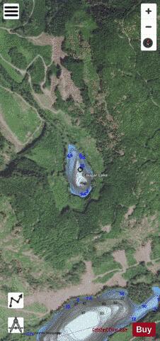 Cougar Lake depth contour Map - i-Boating App - Satellite