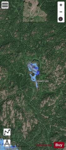 Crabapple Lake depth contour Map - i-Boating App - Satellite