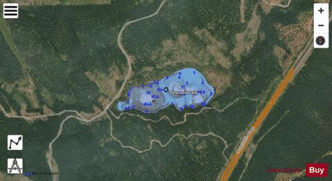 Desmond Lake depth contour Map - i-Boating App - Satellite